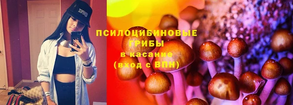 мдпв Бугульма