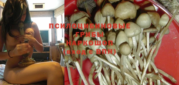 мдпв Бугульма