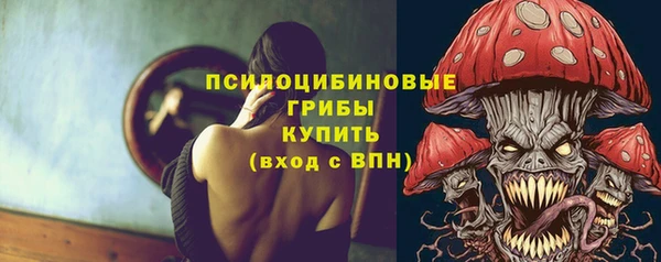 тгк Бронницы